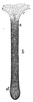 660581.jpg