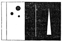 660571.jpg
