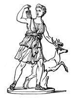 660551.jpg