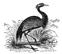 660481.jpg