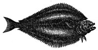 660417.jpg