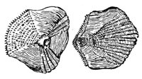 660353.jpg