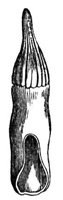 660273.jpg