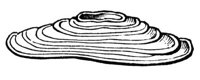 660265.jpg