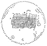 660235.jpg
