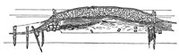 660231.jpg
