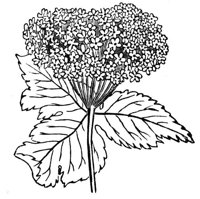 660189.jpg