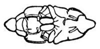 660157.jpg