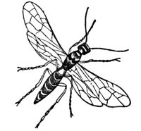660155.jpg