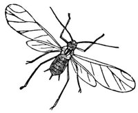 660141.jpg