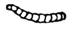 660135.jpg