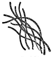 660081.jpg