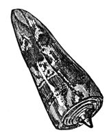 660079.jpg