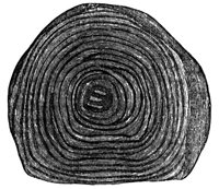 660069.jpg