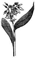 660063.jpg
