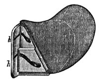 660017.jpg