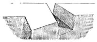 659833.jpg
