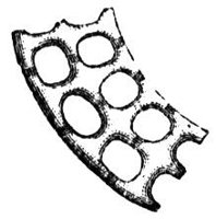659805.jpg