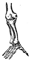 659777.jpg