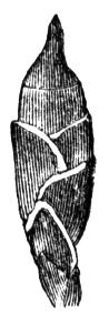 659757.jpg