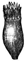 659755.jpg