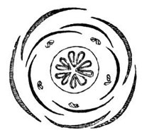 659723.jpg