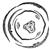 659721.jpg