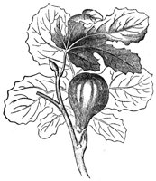659511.jpg