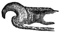 659445.jpg