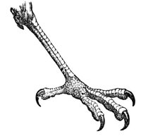 659403.jpg