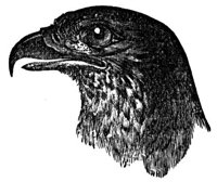 659401.jpg
