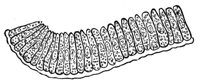 659285.jpg
