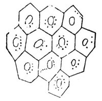 659283.jpg