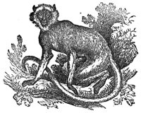 659257.jpg