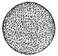 659247.jpg