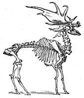 659215.jpg
