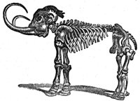 659195.jpg