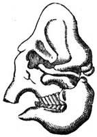 659191.jpg