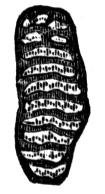 659189.jpg