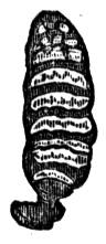 659187.jpg