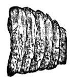 659185.jpg