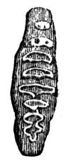 659181.jpg