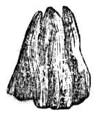 659177.jpg