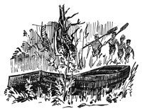508046.JPG