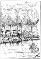 476174.jpg