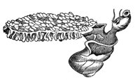 437184.jpg