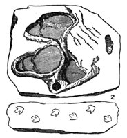 437102.jpg