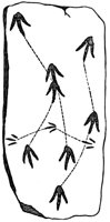 437094.jpg