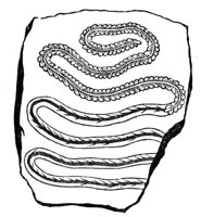 437090.jpg