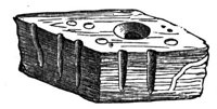437088.jpg